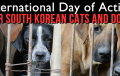 Korea